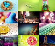 ipk/source/screensaver_photography_1.0/preview/prev.png